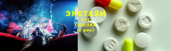 трава Тавда
