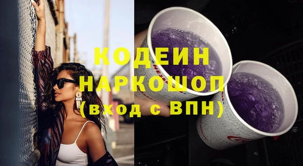 Альфа ПВП Елизово