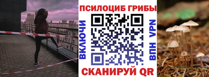 Псилоцибиновые грибы Psilocybine cubensis Купить закладки Опочка